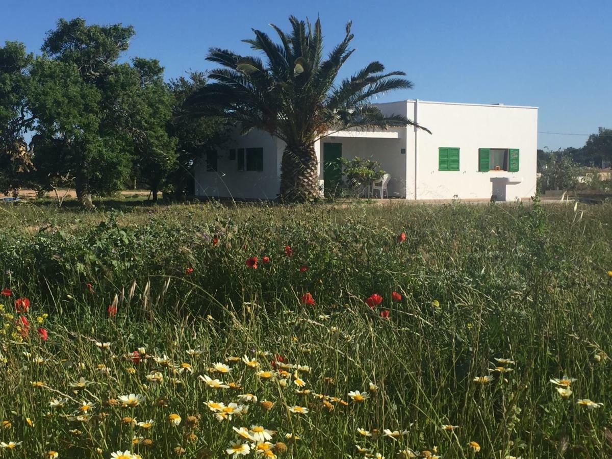 Es Magraner Villa Cala Saona Exterior photo